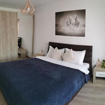 MariMonti Apartment Braşov Esterno foto