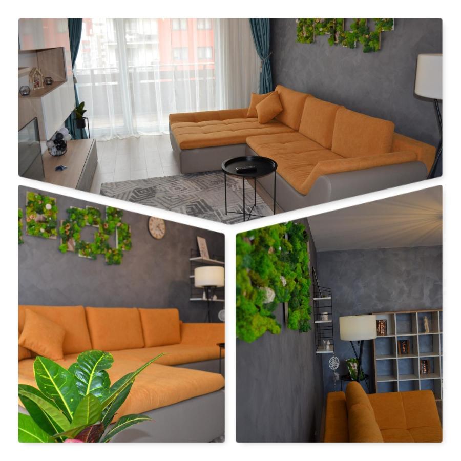 MariMonti Apartment Braşov Esterno foto