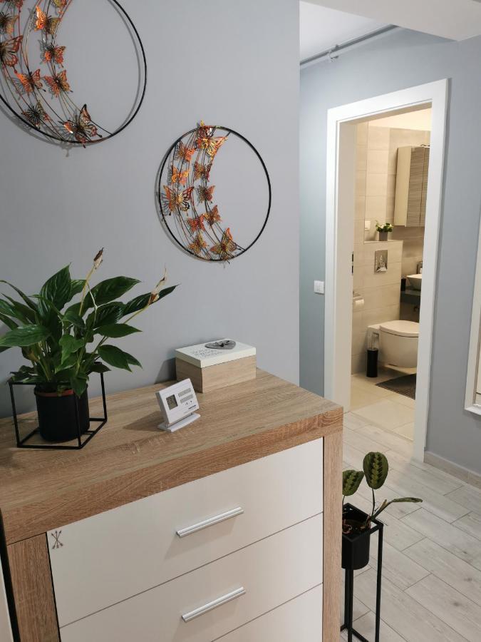 MariMonti Apartment Braşov Esterno foto